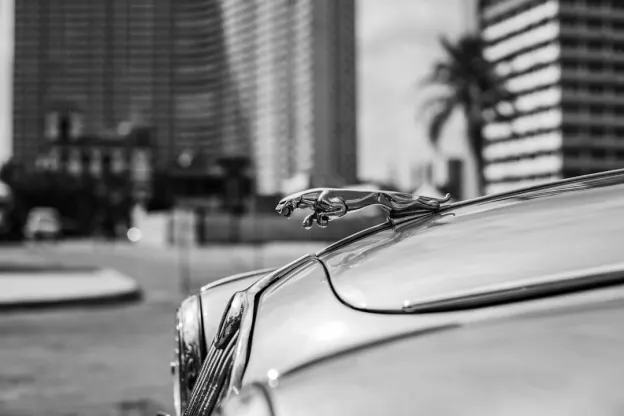 Kazoom Casino Aip Android/iOS